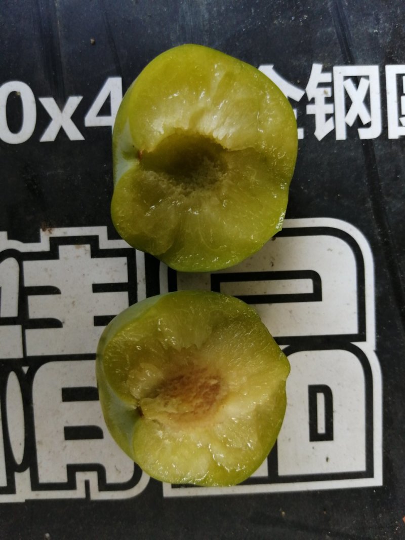 李子