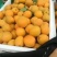 精品金太阳杏，货源充足，量大从优，电话咨询合作共赢