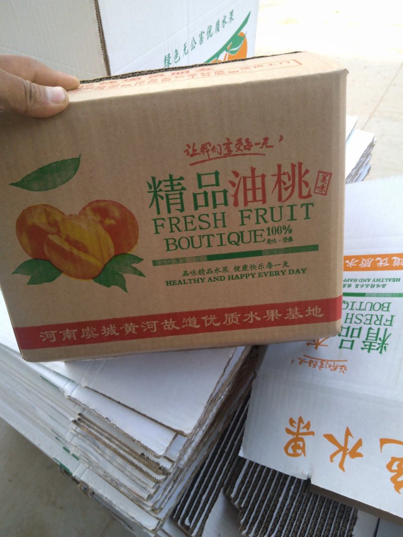 精品金太阳杏，货源充足，量大从优，电话咨询合作共赢