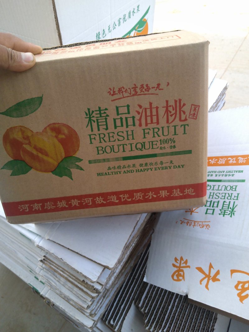 精品金太阳杏，货源充足，量大从优，电话咨询合作共赢