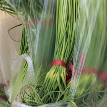 蒜苔上市