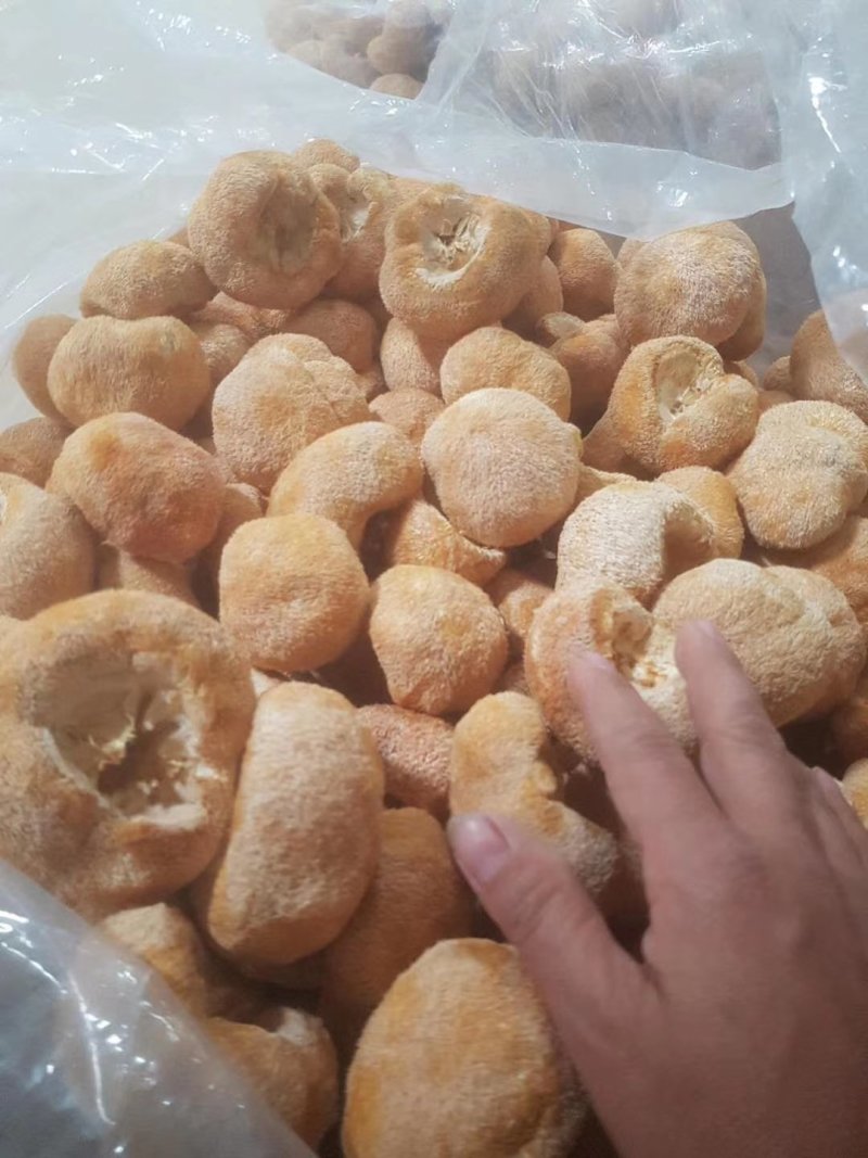 古田精品猴头菇，货真价实，品种齐全