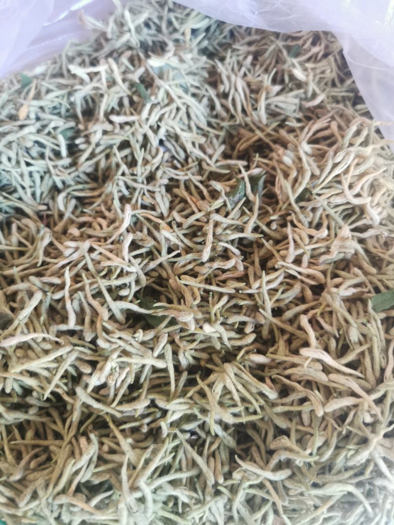 金银花