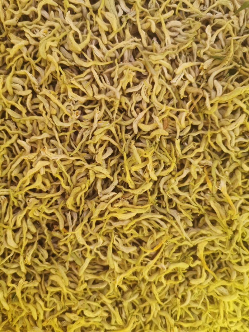 金银花