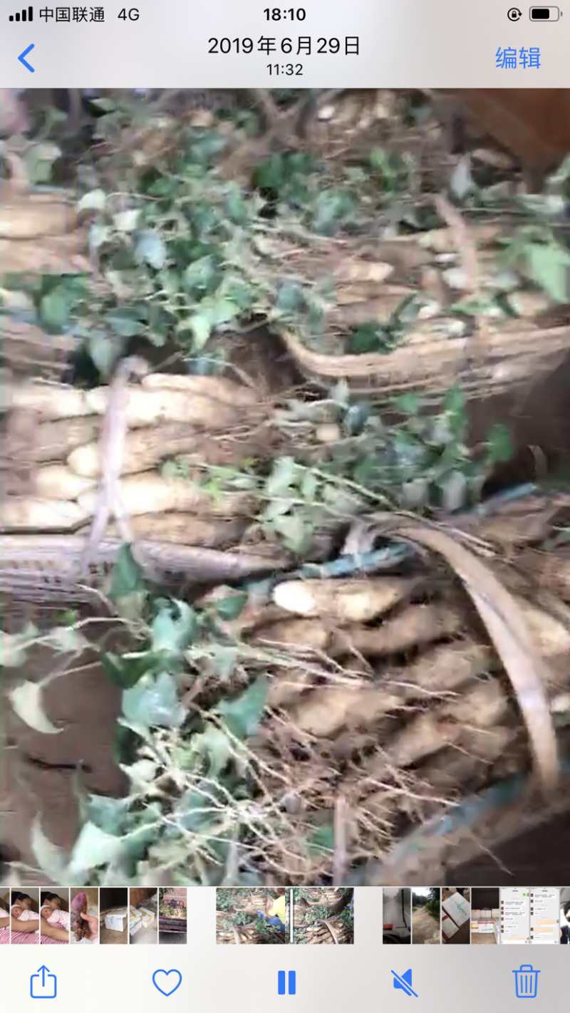 湖南湘潭特产白术食品