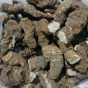 重楼七叶一支花，粉质