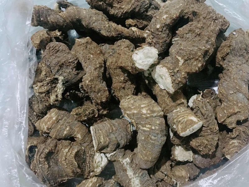 重楼七叶一支花，粉质