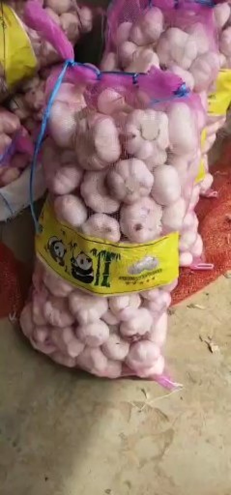 河南新鲜大蒜，紫皮鲜大蒜，蒜头扒皮蒜，电商，超市市场大量