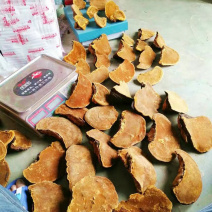 正宗桑树整只切片桑