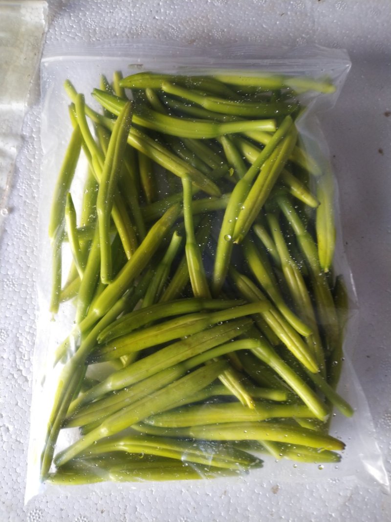 优质黄花菜鲜黄花菜，大量批发，散装，各种包装规格