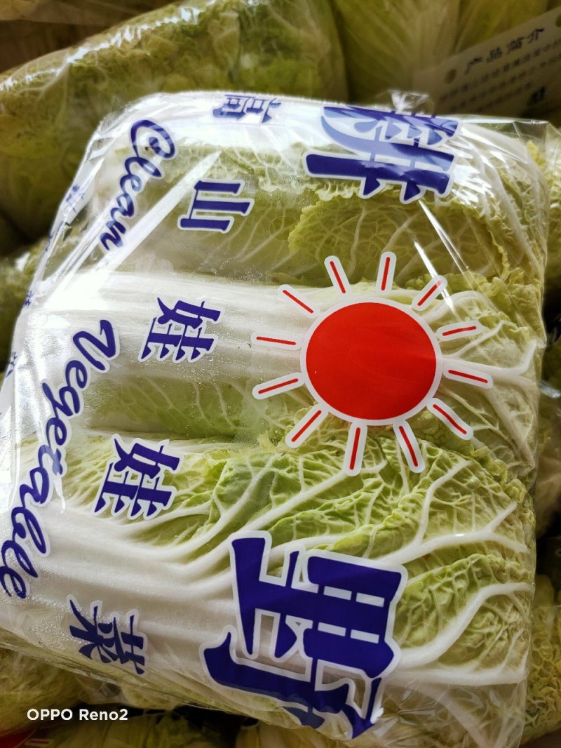 娃娃菜