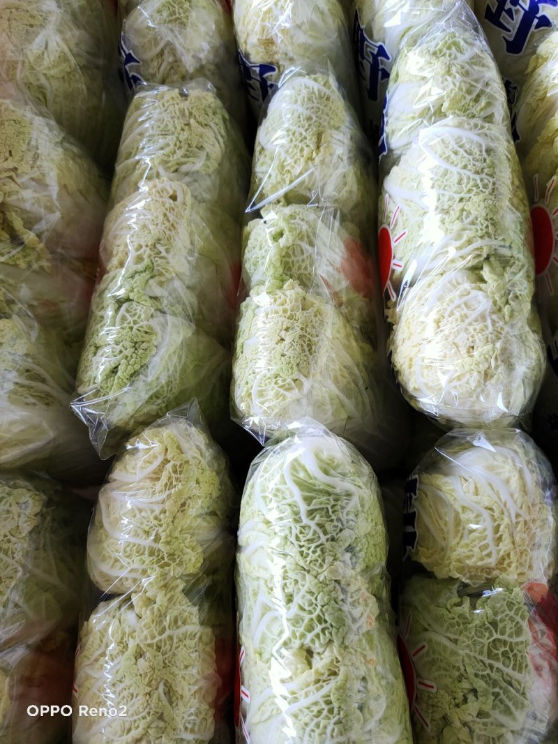 娃娃菜
