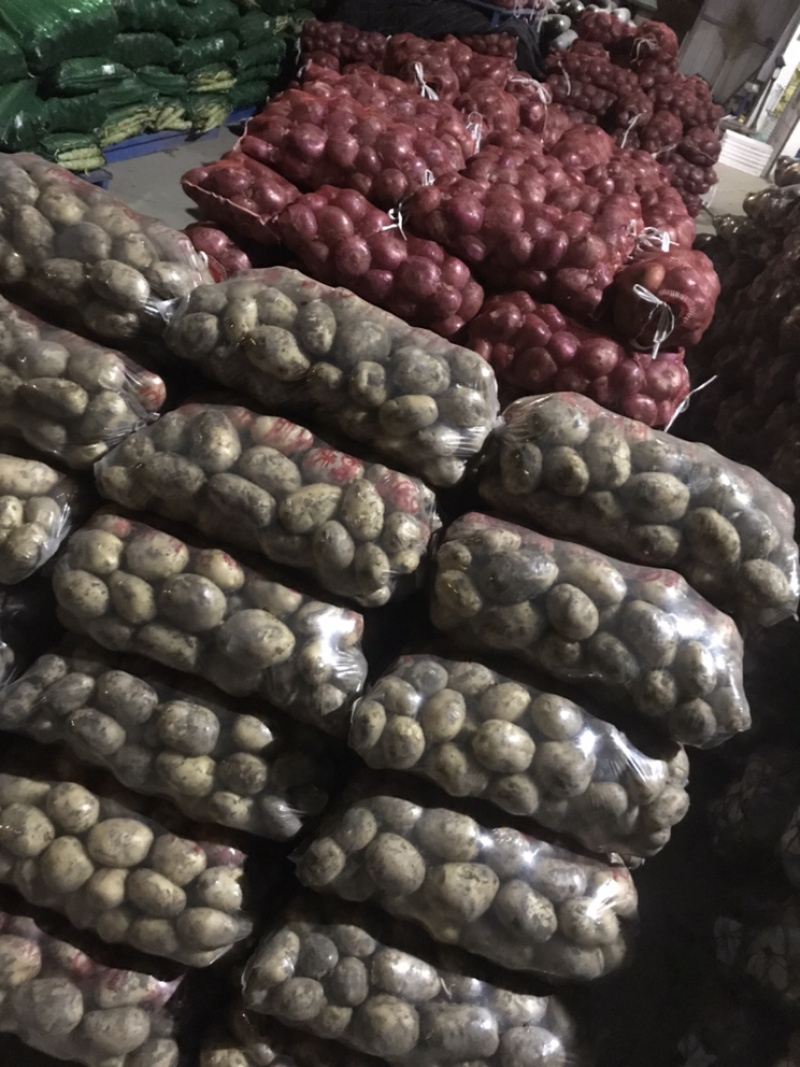 洋葱红皮洋葱江苏洋葱园洋葱扁洋葱产地供应