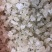 雪燕，爆米花拉丝**货，特级货都有