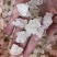 雪燕，爆米花拉丝**货，特级货都有