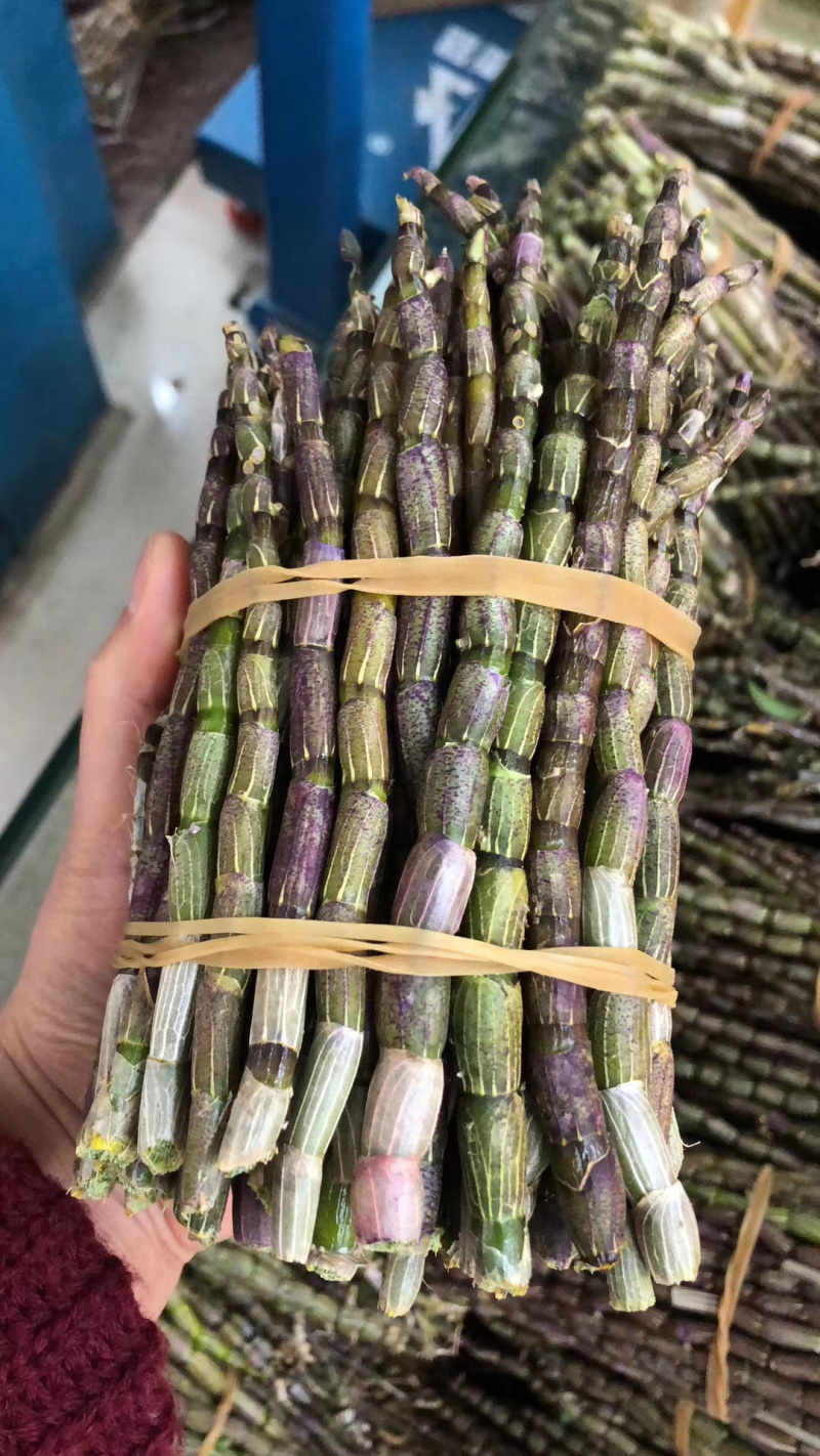 铁皮石斛鲜条，货鲜，胶质高，条子新鲜，包邮