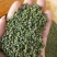 【吴茱萸苗】，茶辣苗，中花品种货量充足