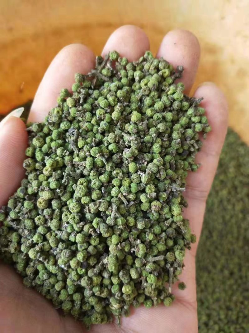 【吴茱萸苗】，茶辣苗，中花品种货量充足