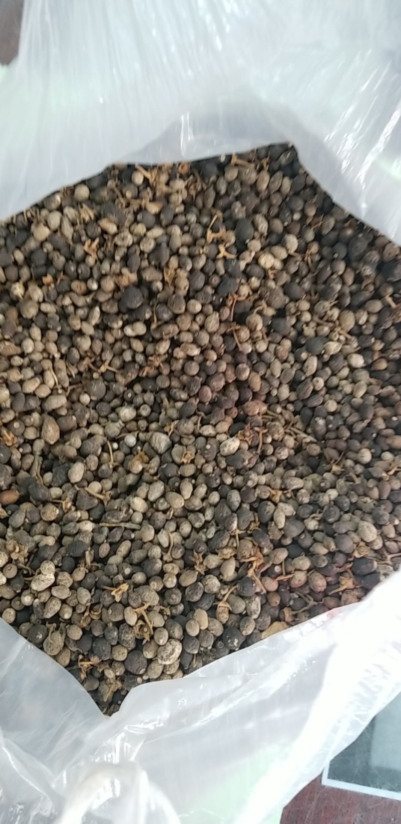 奉节正品脐橙枳实中药材正品脐橙枳实特级无硫量大