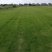 草坪基地直销