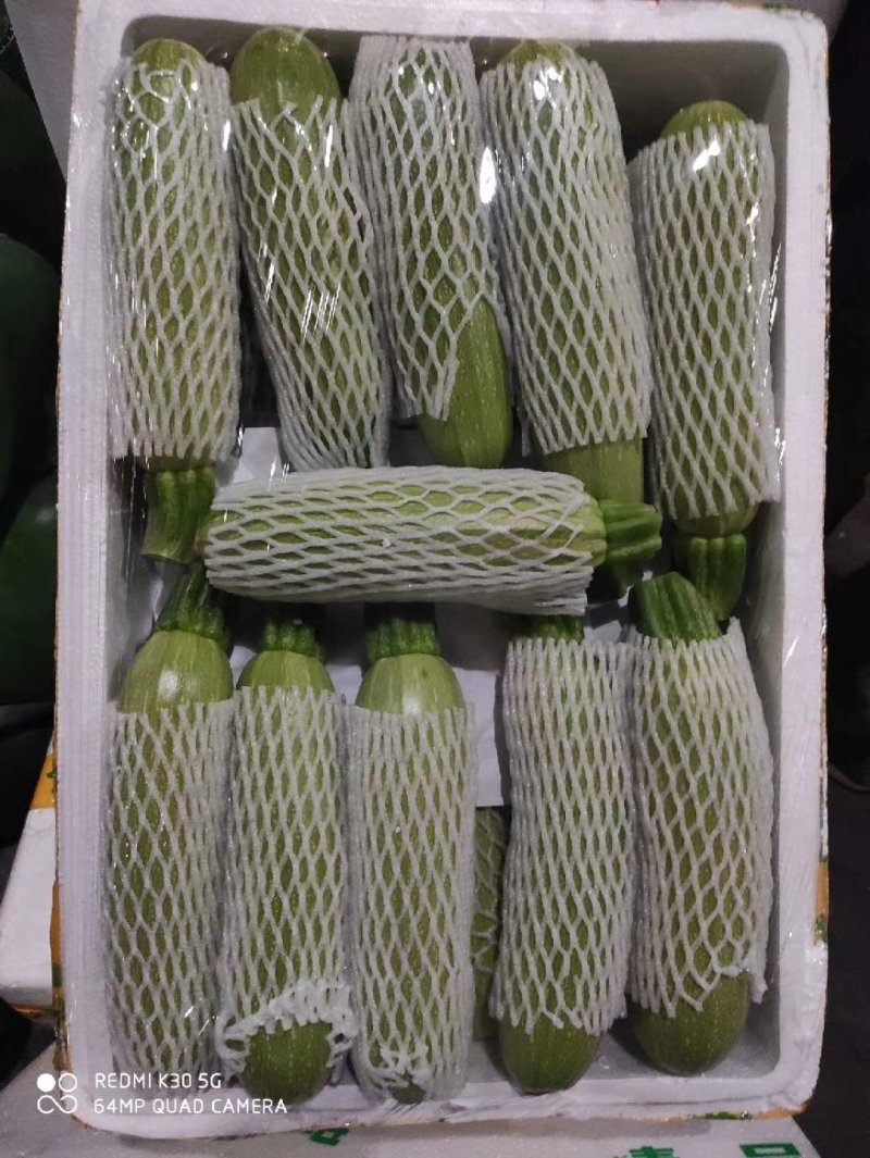兰州高原夏菜冷库开始预订，欢迎各位老板骚扰