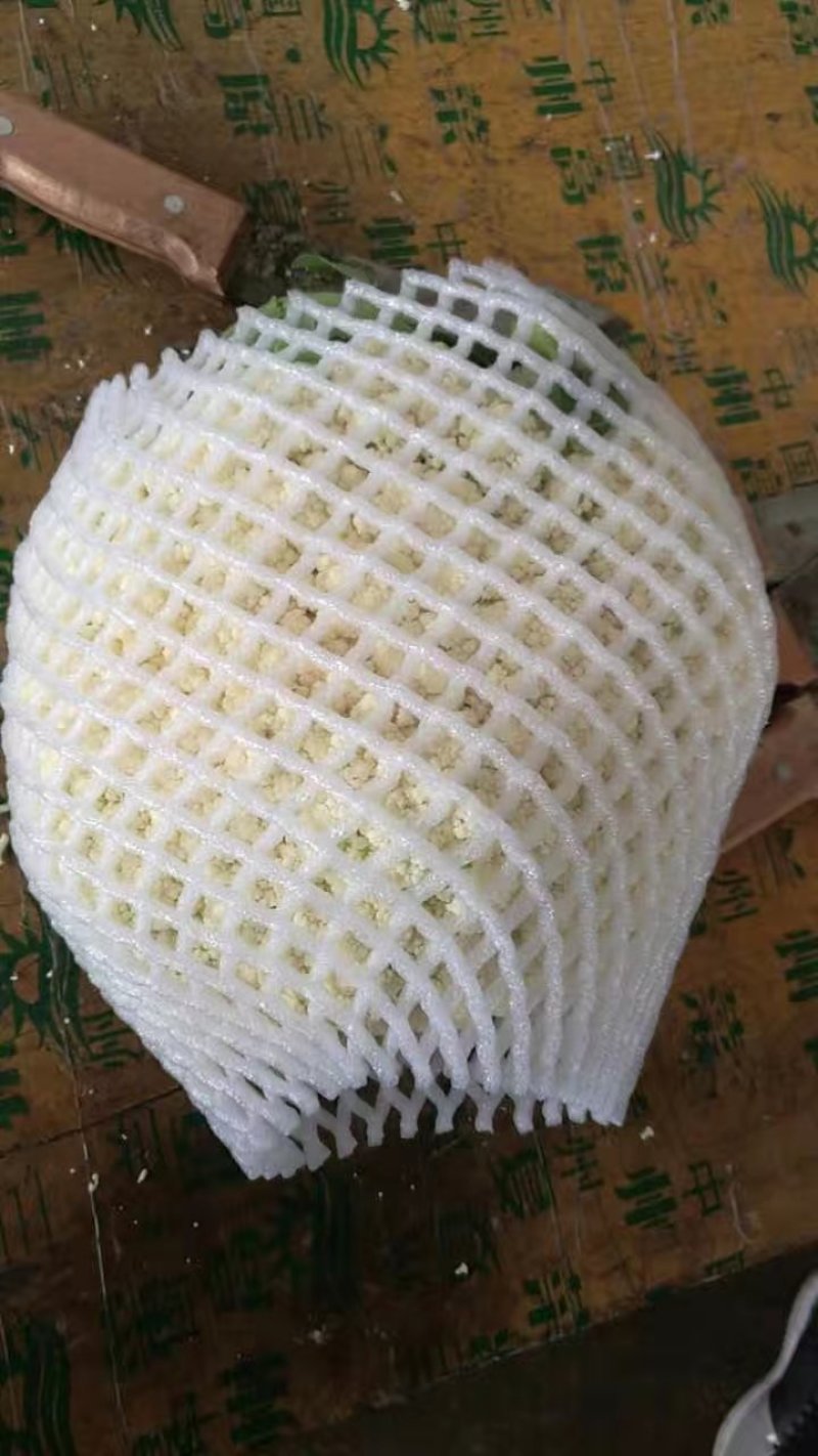 兰州高原夏菜冷库开始预订，欢迎各位老板骚扰