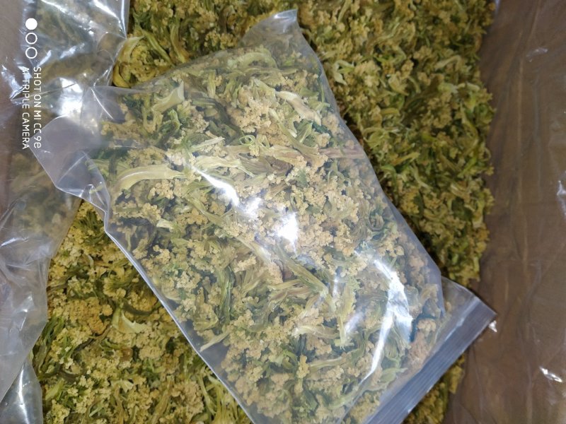 花菜干干货新货菜花干椰菜花