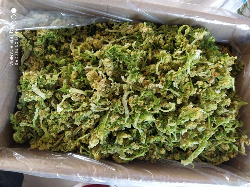 花菜干干货新货菜花干椰菜花
