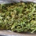 花菜干干货新货菜花干椰菜花