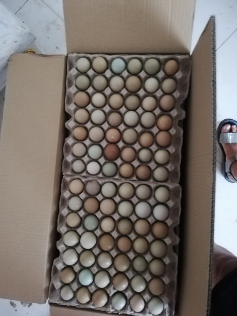 野鸡蛋50g以下食用