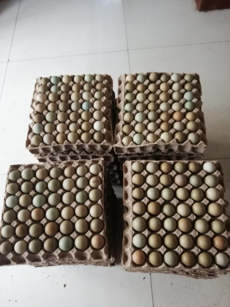 野鸡蛋50g以下食用