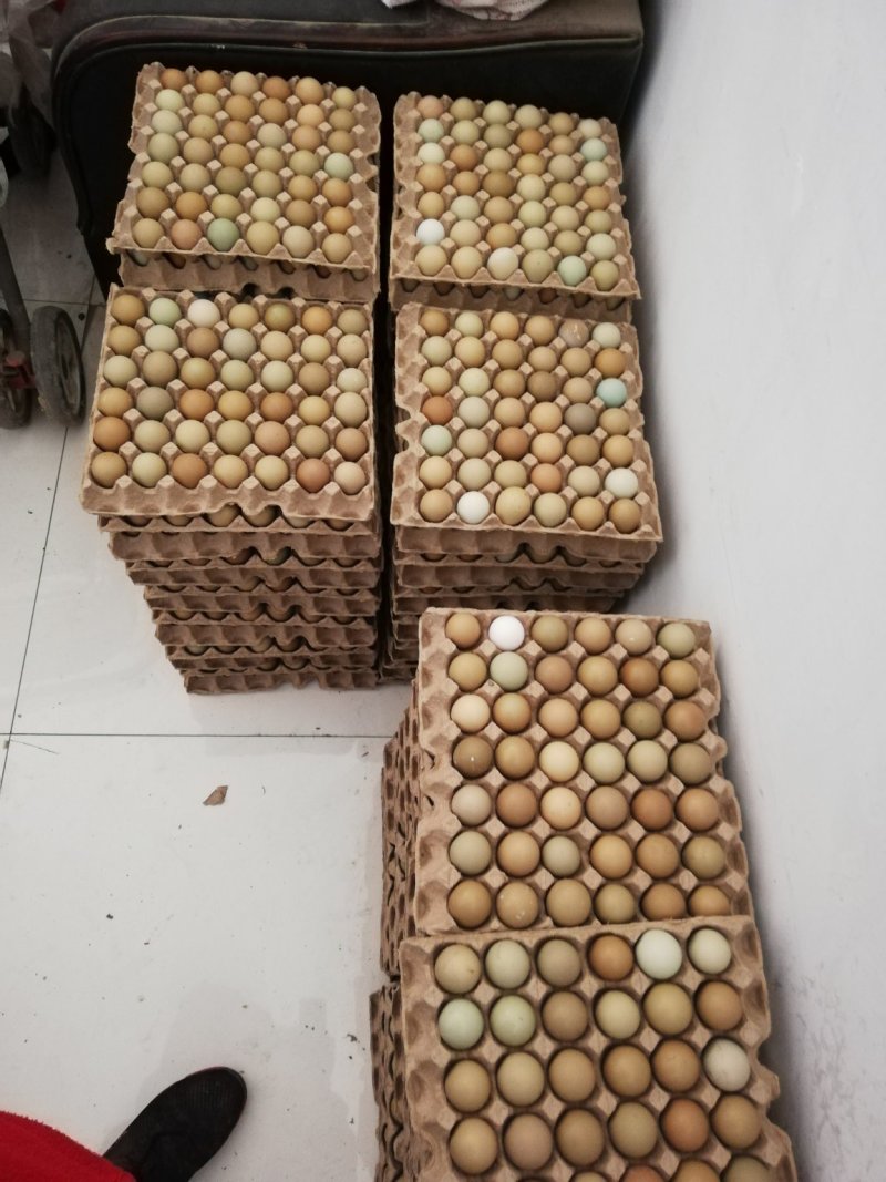 野鸡蛋50g以下食用