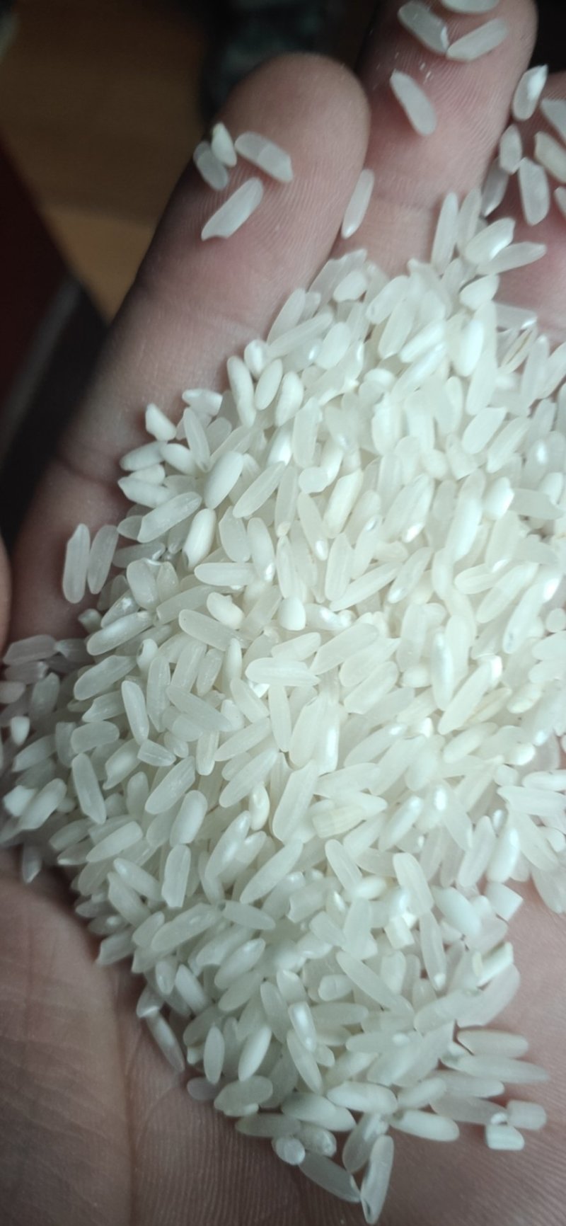 19年丰两优，品质好，价格低