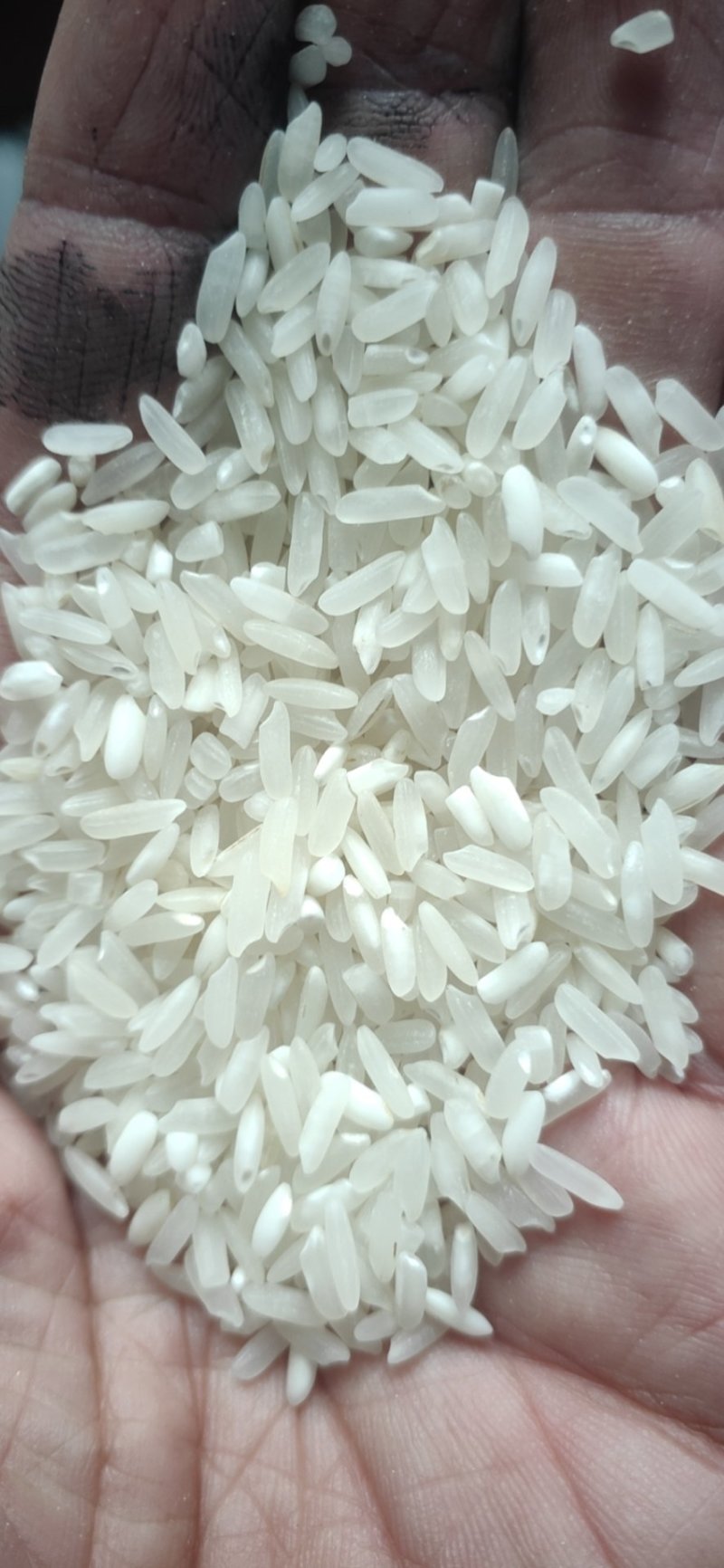 19年丰两优，品质好，价格低