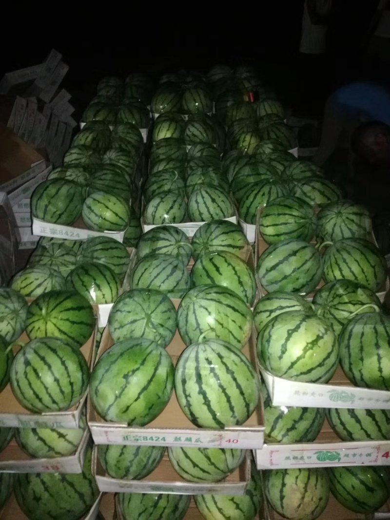 麒麟西瓜，大量上市，产地直供，
