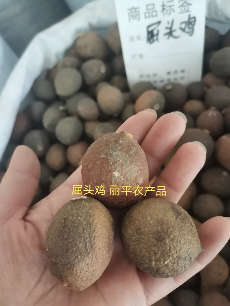中药材屈头鸡选货正品马槟榔水鸡头水鸡仔纯干货