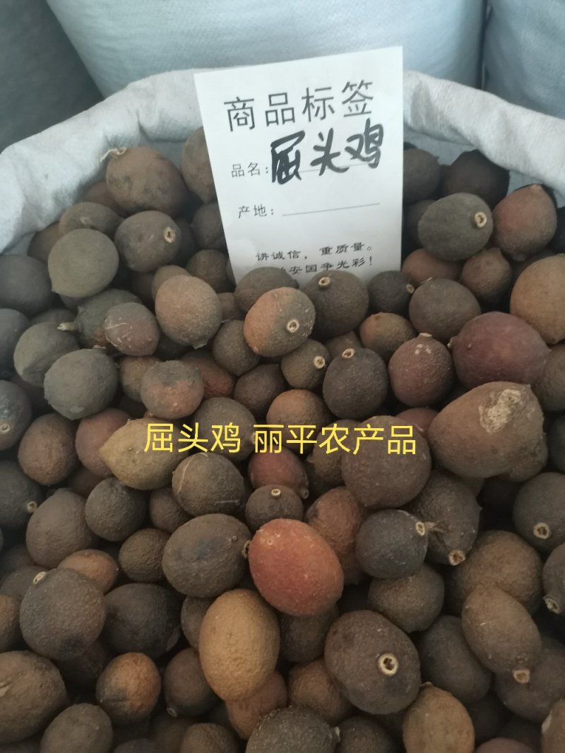 中药材屈头鸡选货正品马槟榔水鸡头水鸡仔纯干货