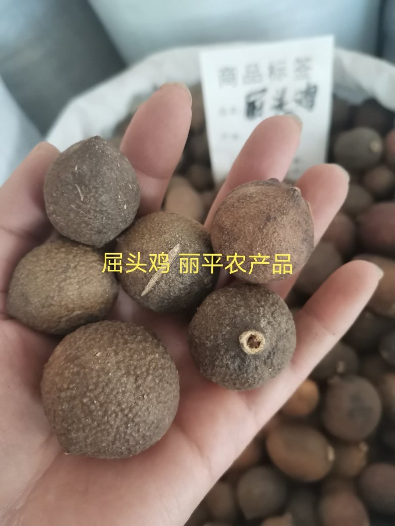 中药材屈头鸡选货正品马槟榔水鸡头水鸡仔纯干货