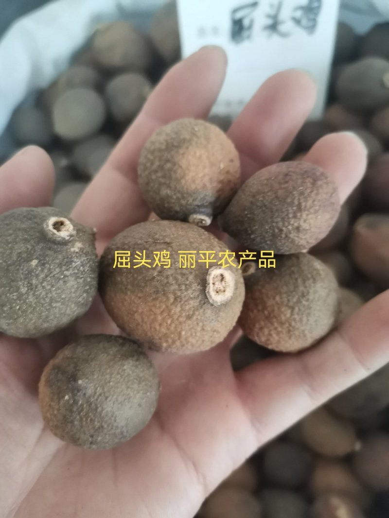 中药材屈头鸡选货正品马槟榔水鸡头水鸡仔纯干货