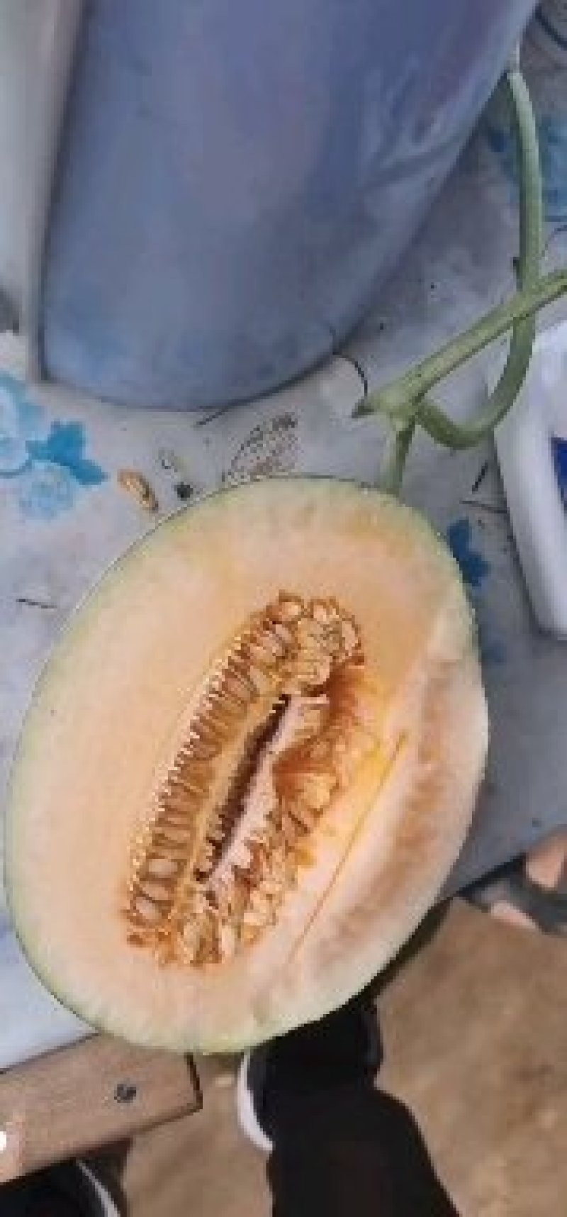 晓蜜25
