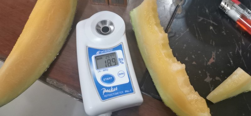 晓蜜25