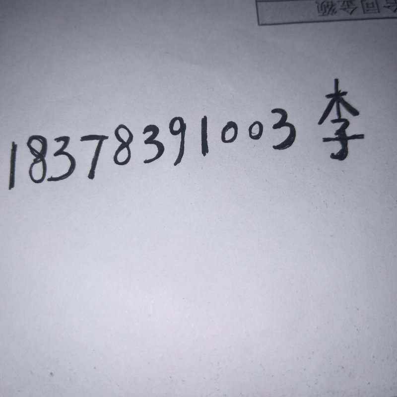 桂花树10~12cm1.5~2米1米以下