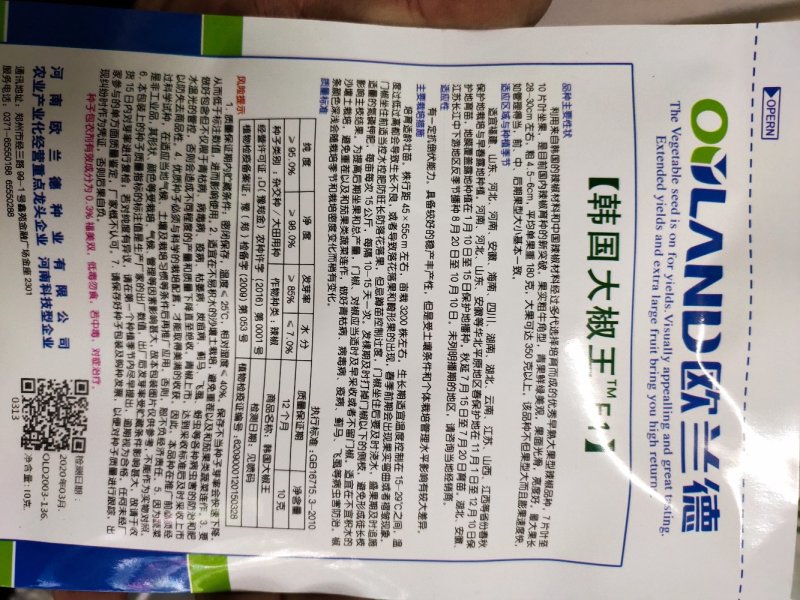 韩国大椒3代/亩，果实粗牛角形，亮度好