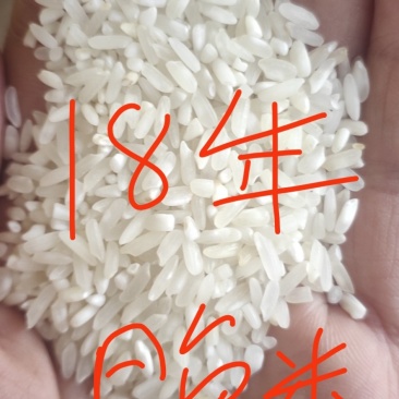 晚杂米
