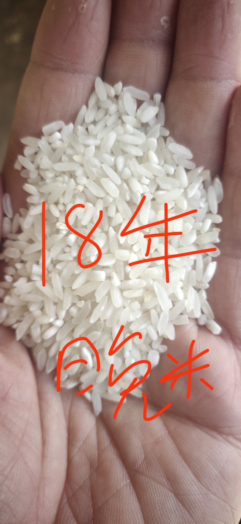 晚杂米