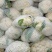 山西新鲜有机花菜松花散花乳白80小米粒