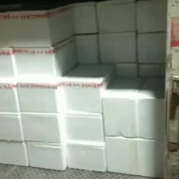 精品小小包小包小皇百合