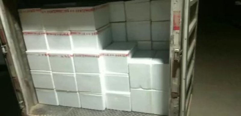 精品小小包小包小皇百合