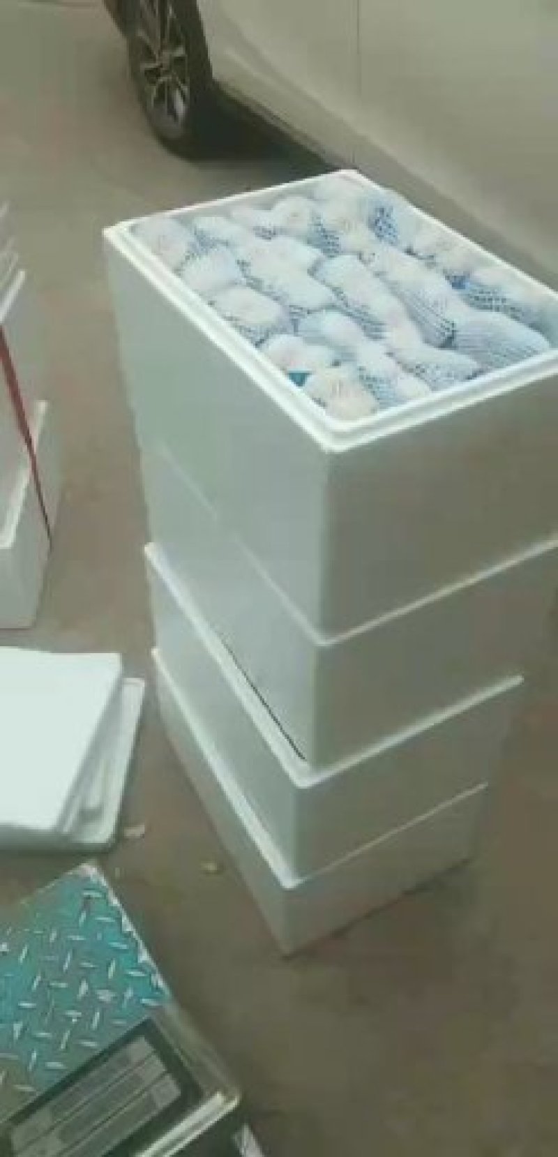 精品小小包小包小皇百合