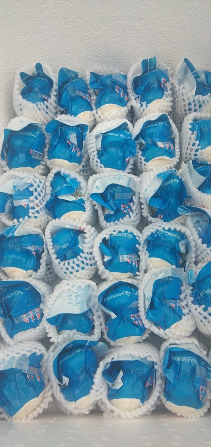 精品小小包小包小皇百合